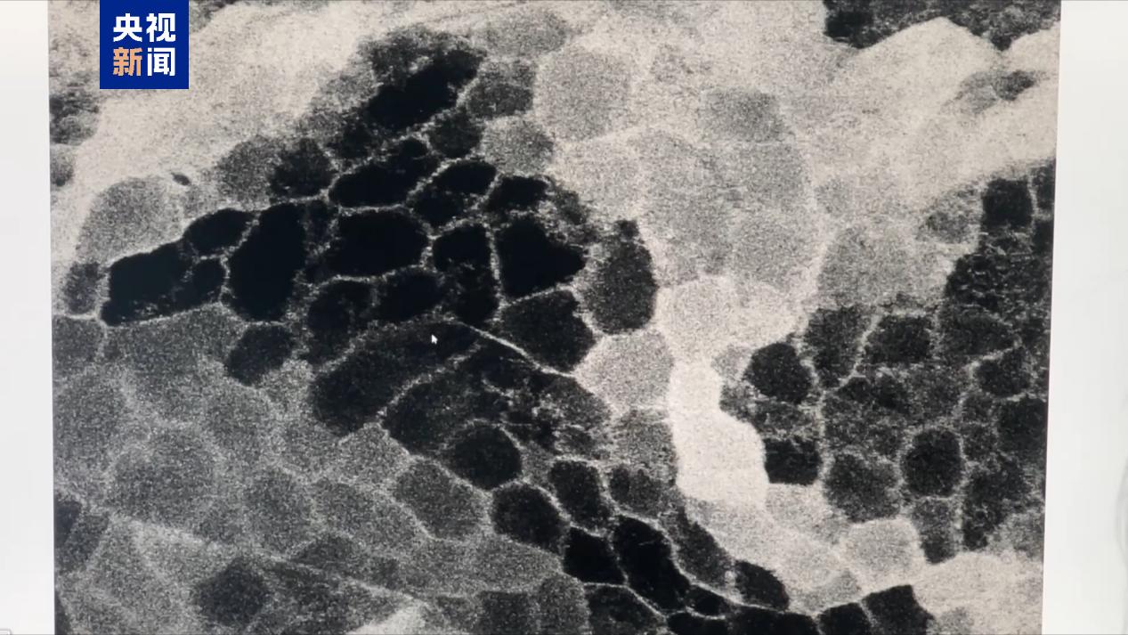 股市清明节放假通知_清明假期交通管制_清明节天气预报