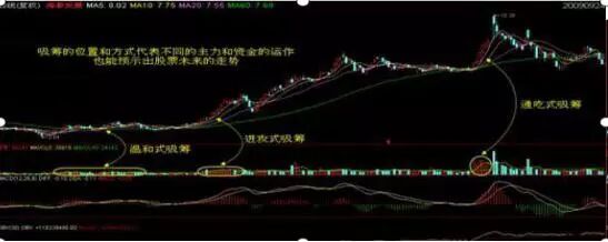 财务自由如何实现_股票筹码分析_股市 跳楼