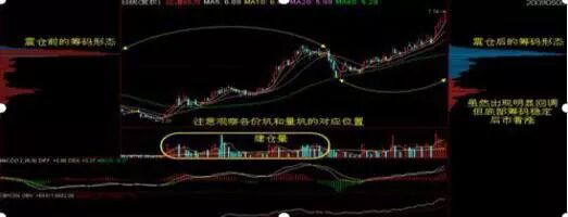 财务自由如何实现_股市 跳楼_股票筹码分析