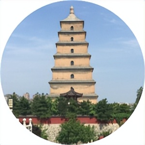 公式指标网_bs指标公式_公式指标编写