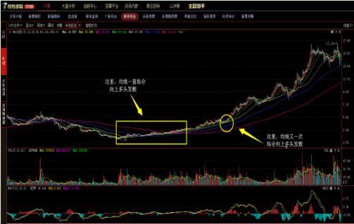 交易时机策略_金牛分时多空线源码_均线粘合选股技巧