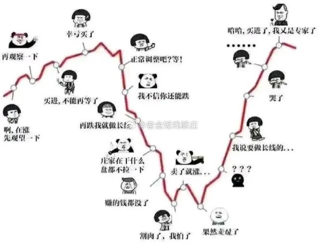 A股打板技巧_炒股惨痛教训_股市亏损故事
