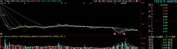 宜华集团刘绍喜财务造假调查_证监会宜华生活信息披露违法_宜华健康实控人配资炒自家股票