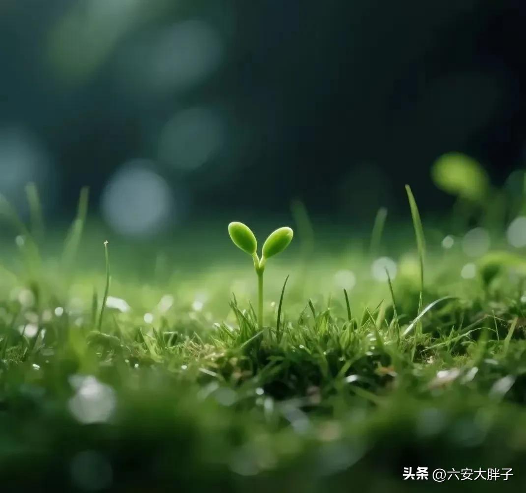 炒股惨痛教训_高中同学炒股故事_1999年炒股入门经历