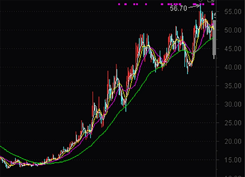 新莱应材前董秘郭红飞被查_新莱应材何时上市的_新莱应材实控人证监会立案调查