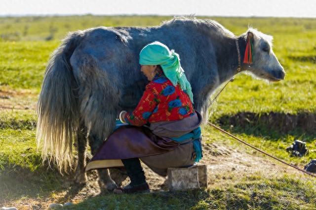 判断短线牛股买卖点的核心要点，附实操案例解析
