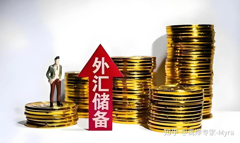 个人外汇5万美元额度不是限额，违规行为及罚则详解