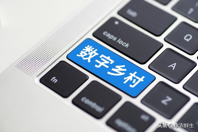 让创业项目得到政府扶持该怎么做_乡村振兴 四方合作模式 农文旅商项目