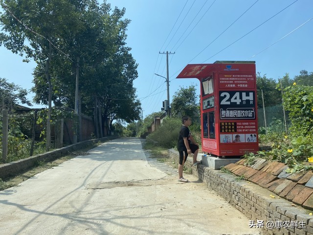 乡村振兴 四方合作模式 农文旅商项目_让创业项目得到政府扶持该怎么做