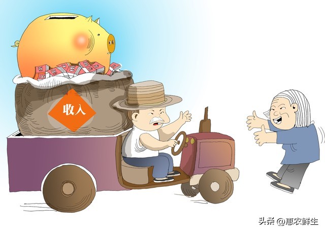 让创业项目得到政府扶持该怎么做_乡村振兴 四方合作模式 农文旅商项目