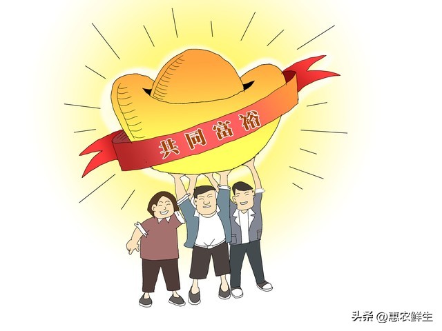让创业项目得到政府扶持该怎么做_乡村振兴 四方合作模式 农文旅商项目