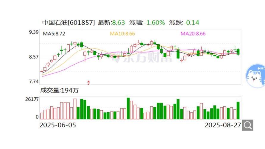 中国石油2020年上半年业绩报告_中石油营收下降原因分析_中石油股票下跌