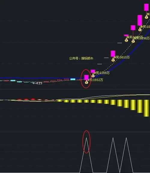 庄影追踪指标怎么用？实战捕捉主力爆发点