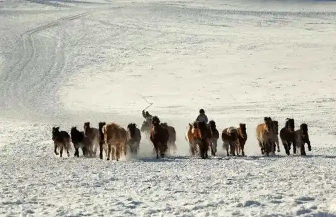 短线交易技巧_短线是银之1：短线高手的操盘技巧_投资心态与执行力