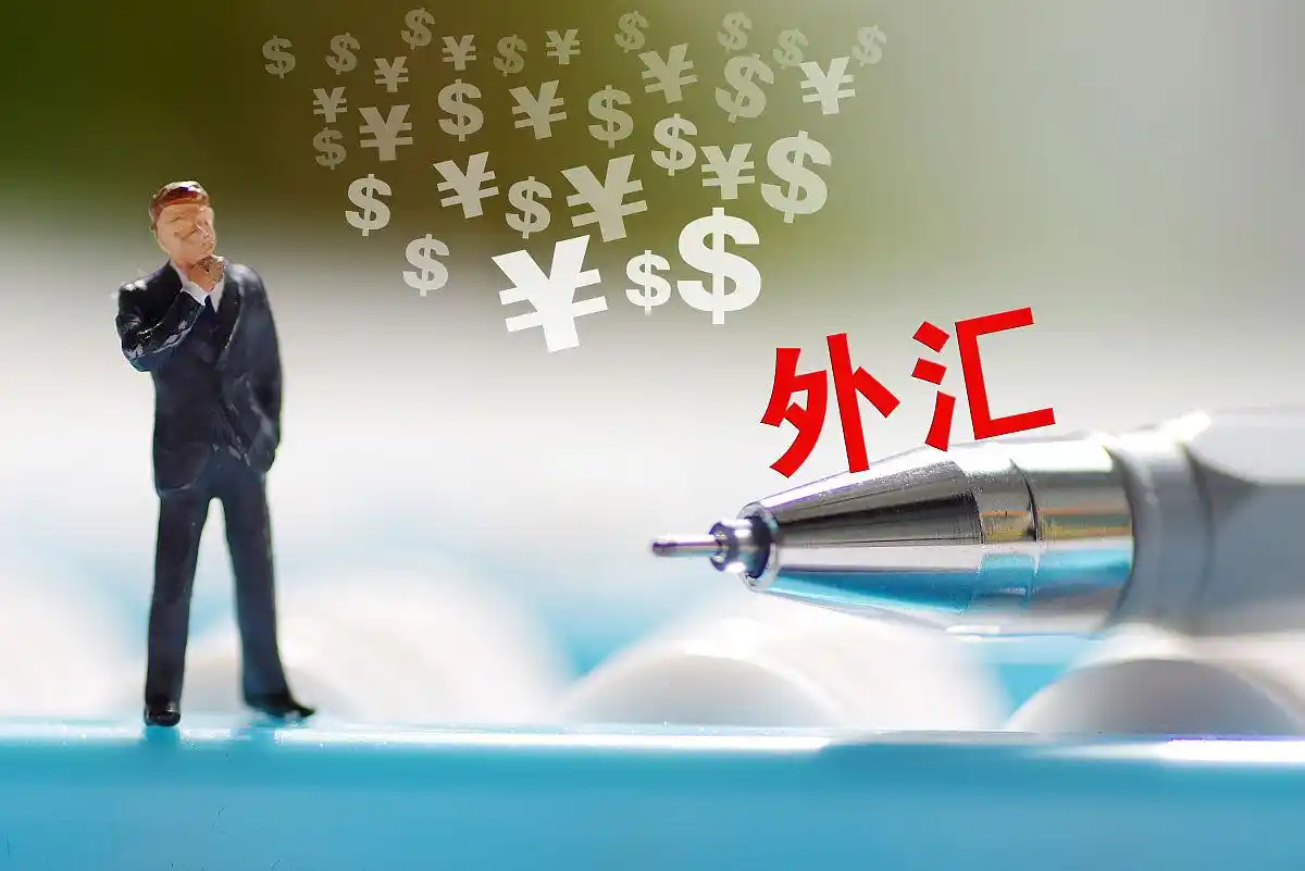 外汇是怎么盈利模式_外汇交易新手指南_100美元炒外汇