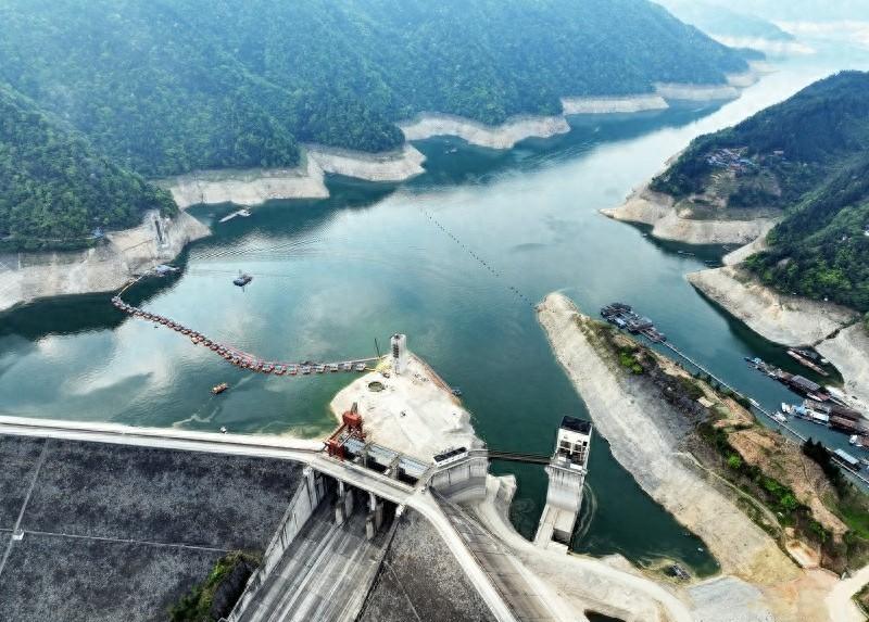 三板溪水电站创新低温水管理保护长江生物多样性