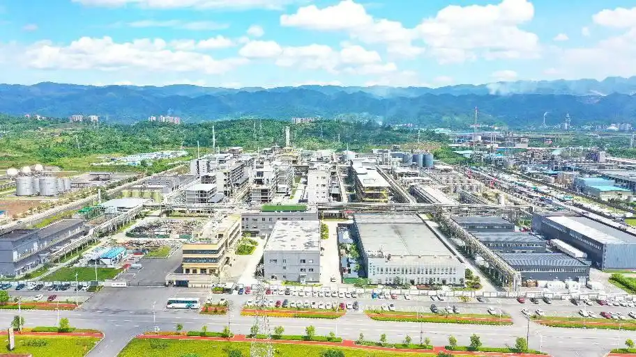 和邦生物125亿投资 广安双甘膦生产基地 全球最大 双甘膦市场份额_双甘膦百度