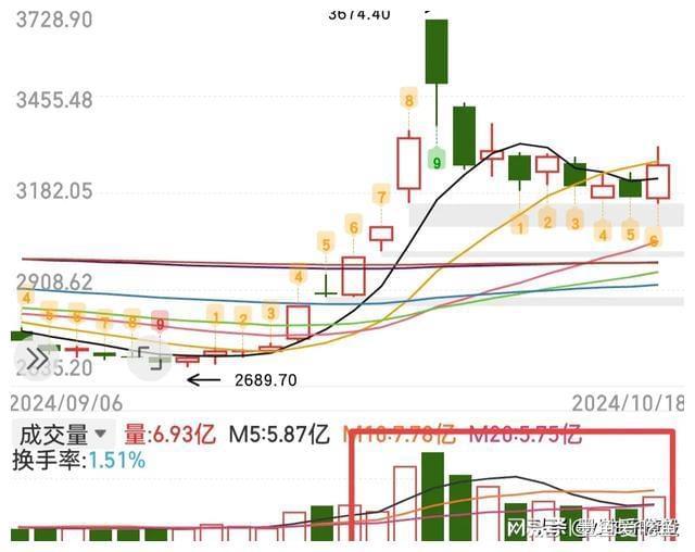 均线趋势成交量分析_新手股民入门知识_炒股软件公式指标入门与精通