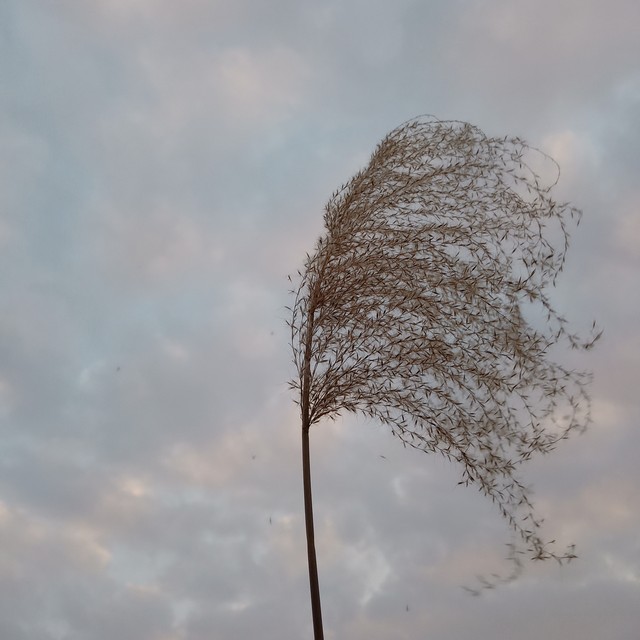 价值投资必读书籍_炒股必看的13本技术分析书-_投资入门书单