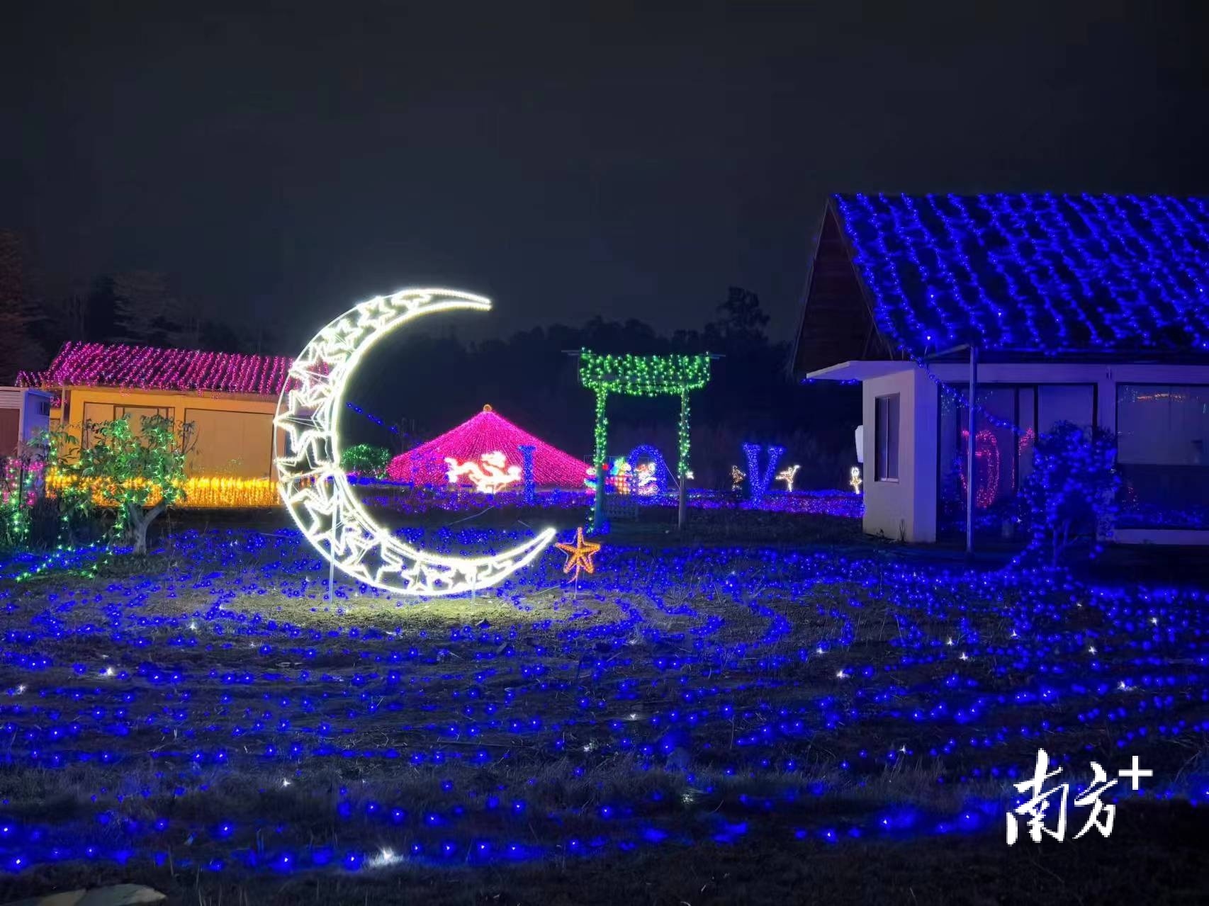 广州花都迎春花市_花都花市特色活动_深圳松岗花店订花送花