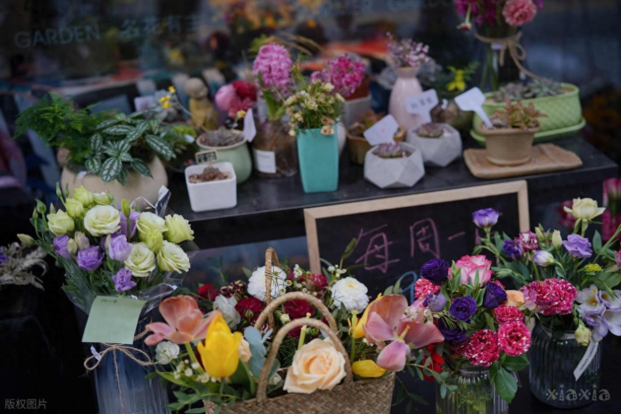 大学生平价鲜花_长沙高校周边花店_深圳松岗花店订花送花