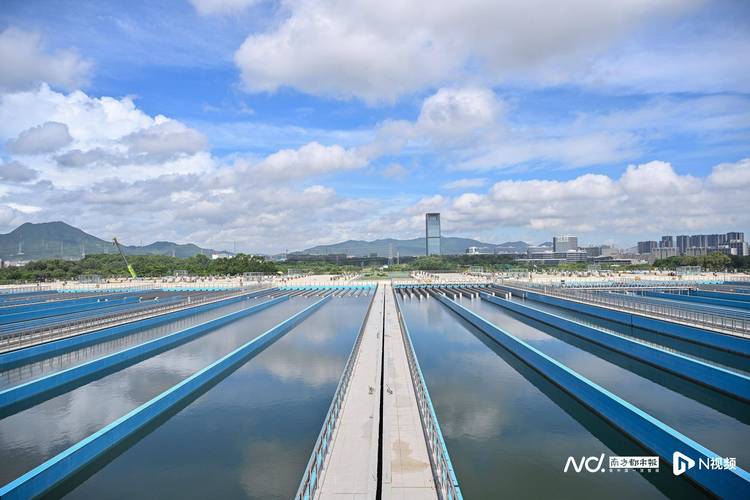 2025年深圳市水务工作会议内容_深圳市水务系统工作部署_深圳水务