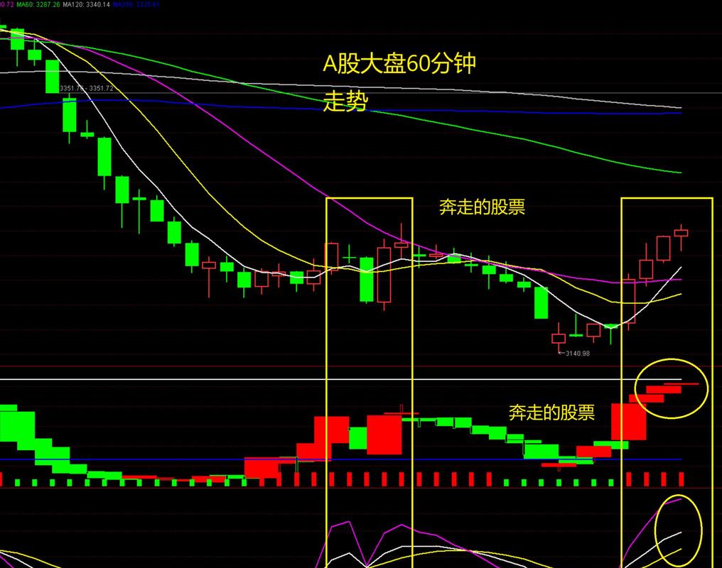 新手股票开户看日子_股票交易规则及注意事项_新手如何开户股票交易