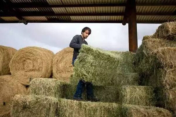 苏世民 录取_清华大学苏世民书院_哈佛耶鲁毕业生报考的神秘学院