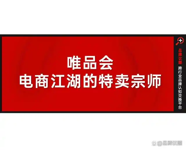 利润表分析唯品会_唯品会2024年财报分析_唯品会品牌特卖模式研究