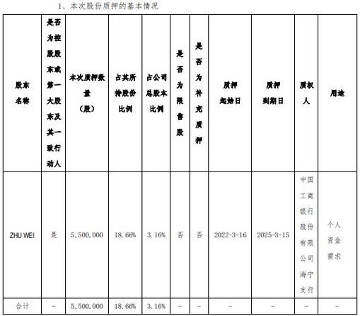 股票质押是做什么用途_股份质押目的风险用途_控股股东个人资金需求战略融资工具
