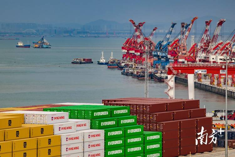 东莞市龙通货柜码头有限公司_东莞港进口原木业务_东莞港散件杂货吞吐量