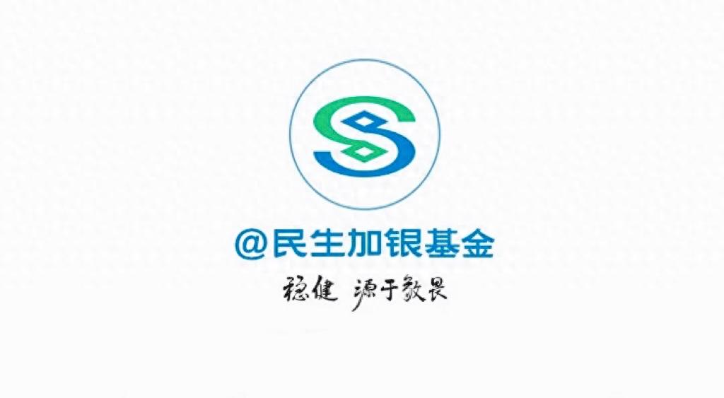 民生加银基金规模排名_民生加银基金规模缩水_民生加银基金重固收轻权益