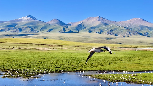 负债者翻身路径_前年投资零元的致富好生意_技术服务蓝领技能赛道