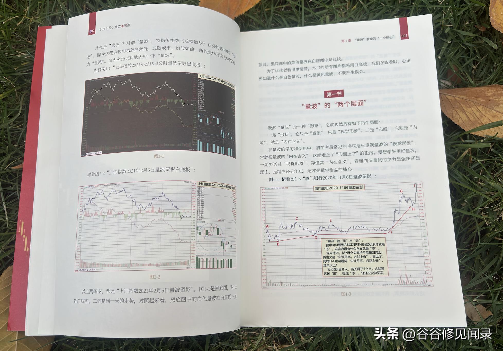 量学三部曲_量波逮涨停_量线捉涨停在线阅读