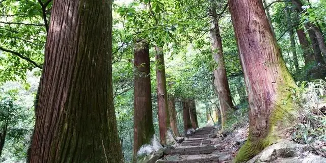 杭州乐天城_杭州河坊街南宋御街_杭州西湖风景名胜区